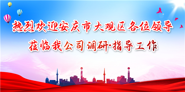安慶市大觀區(qū)領(lǐng)導(dǎo)蒞臨我公司調(diào)研工作，為發(fā)展注入新動力